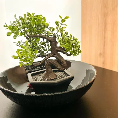 1 Bedroom 725 Durrës