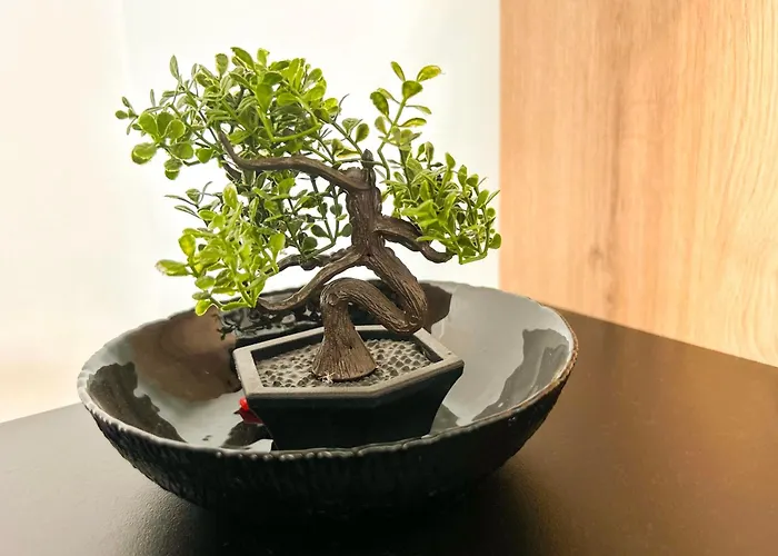 1 Bedroom 725 ドゥラス